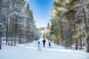 istockphoto 1149652706 612x612 1