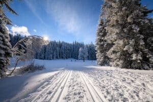 Cross-country skiing