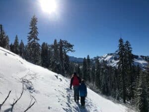 Wear Skiing 